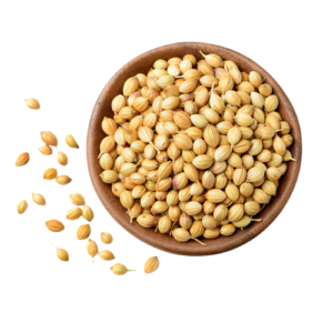 Coriander Seeds