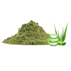 Aloe Vera Leaves Powder