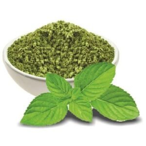 Mint Leaves Powder